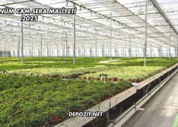 1 Dönüm Cam Sera Maliyeti 2025