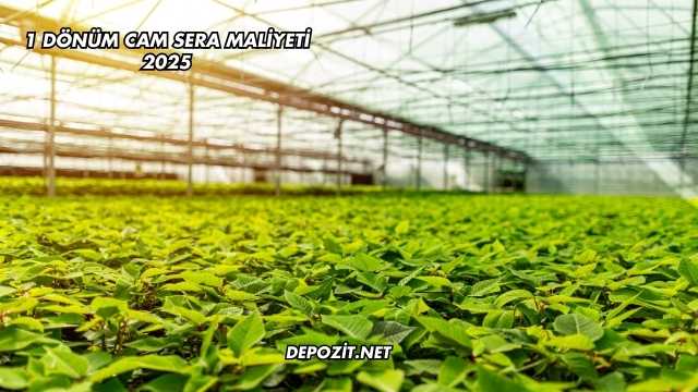 1 Dönüm Cam Sera Maliyeti 2025