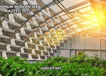 1 Dönüm Modern Sera Maliyeti 2025