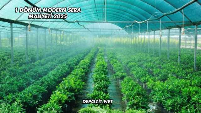 1 Dönüm Modern Sera Maliyeti 2025