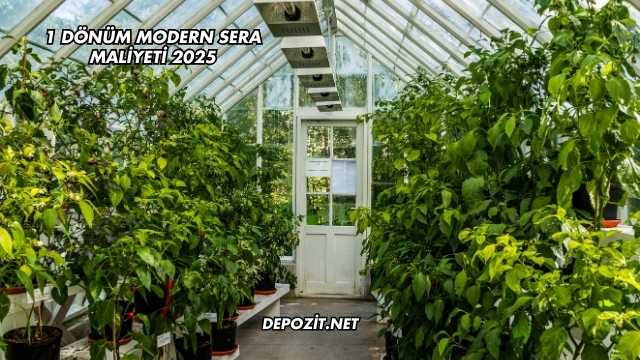 1 Dönüm Modern Sera Maliyeti 2025