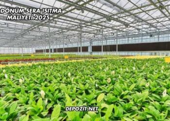 1 Dönüm Sera Isıtma Maliyeti 2025