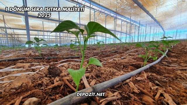 1 Dönüm Sera Isıtma Maliyeti 2025