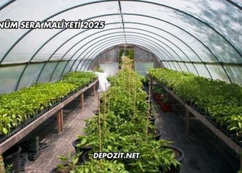 1 Dönüm Sera Maliyeti 2025