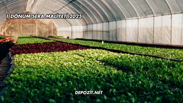 1 Dönüm Sera Maliyeti 2025