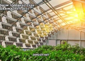 1 Dönüm Topraksız Çilek Sera Maliyeti 2025