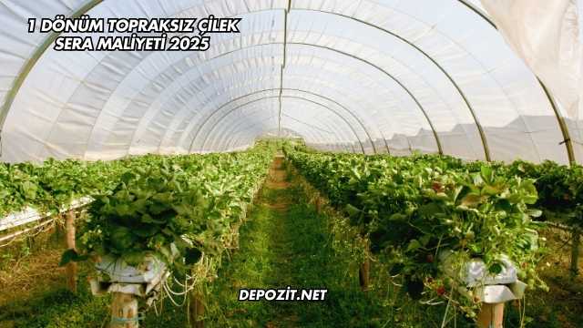 1 Dönüm Topraksız Çilek Sera Maliyeti 2025