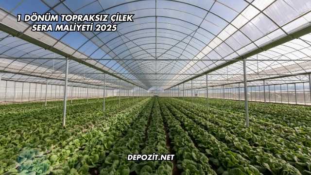 1 Dönüm Topraksız Çilek Sera Maliyeti 2025
