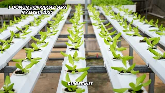 1 Dönüm Topraksız Sera Maliyeti 2025