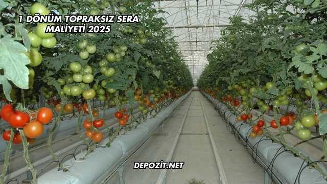 1 Dönüm Topraksız Sera Maliyeti 2025