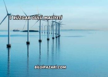 1 Rüzgar Gülü Maliyeti
