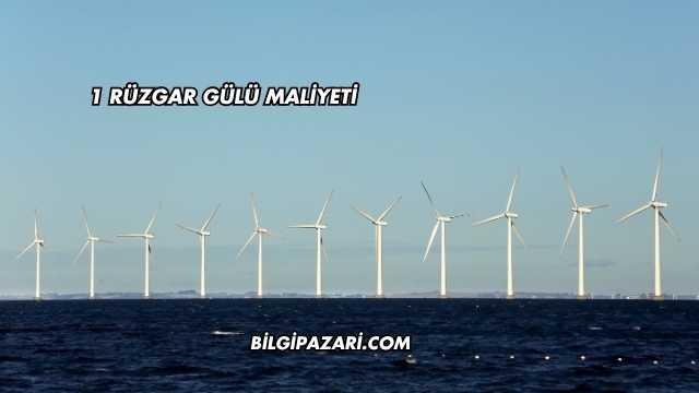 1 Rüzgar Gülü Maliyeti