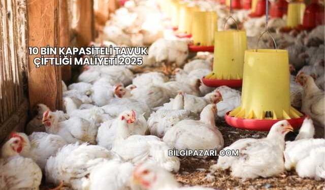 10 Bin Kapasiteli Tavuk Çiftliği Maliyeti 2025