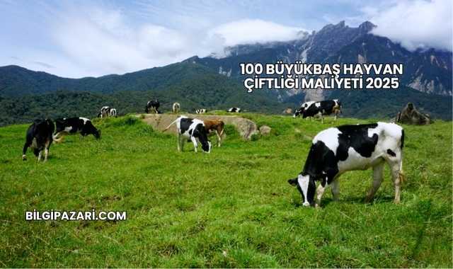 100 Büyükbaş Hayvan Çiftliği Maliyeti 2025