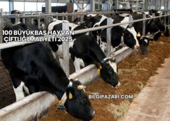 100 Büyükbaş Hayvan Çiftliği Maliyeti 2025