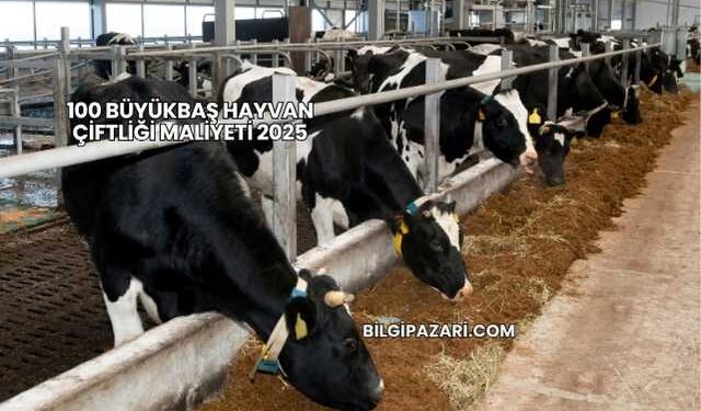 100 Büyükbaş Hayvan Çiftliği Maliyeti 2025