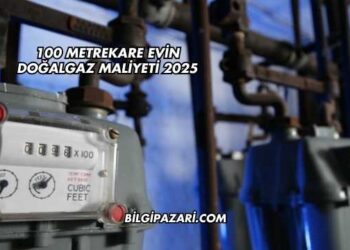 100 Metrekare Evin Doğalgaz Maliyeti 2025