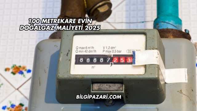 100 Metrekare Evin Doğalgaz Maliyeti 2025