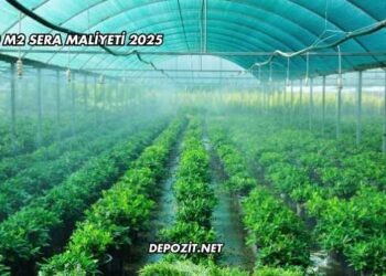 1000 M2 Sera Maliyeti 2025