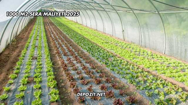 1000 M2 Sera Maliyeti 2025