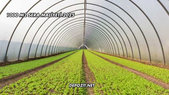 1000 M2 Sera Maliyeti 2025