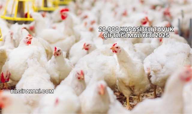 20.000 Kapasiteli Tavuk Çiftliği Maliyeti 2025