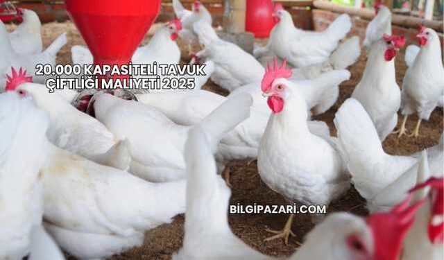 20.000 Kapasiteli Tavuk Çiftliği Maliyeti 2025