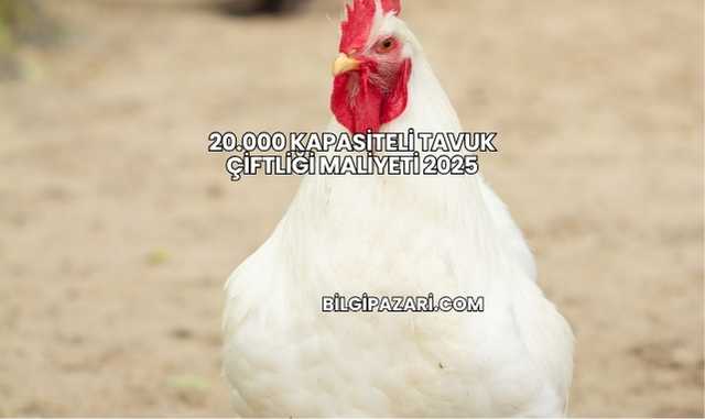 20.000 Kapasiteli Tavuk Çiftliği Maliyeti 2025