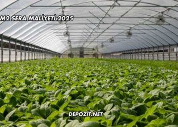 200 M2 Sera Maliyeti 2025