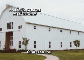 50 Büyükbaş Ahır Maliyeti 2025