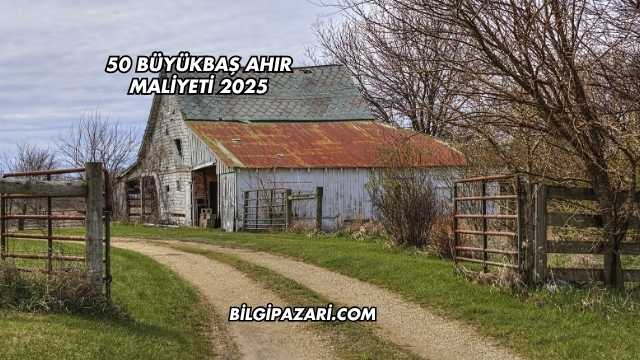 50 Büyükbaş Ahır Maliyeti 2025