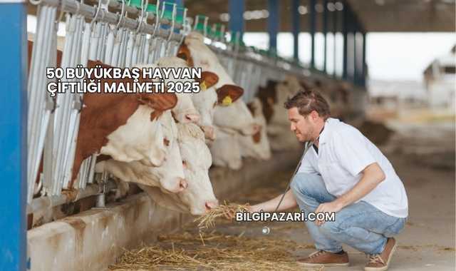 50 Büyükbaş Hayvan Çiftliği Maliyeti 2025