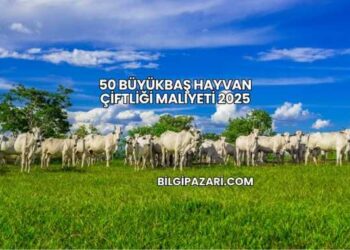 50 Büyükbaş Hayvan Çiftliği Maliyeti 2025