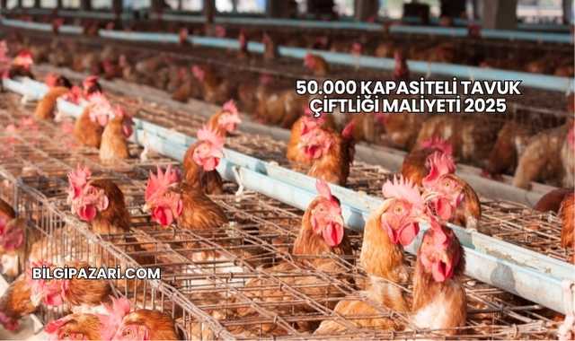 50.000 Kapasiteli Tavuk Çiftliği Maliyeti 2025