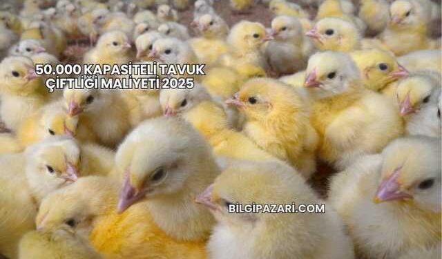 50.000 Kapasiteli Tavuk Çiftliği Maliyeti 2025