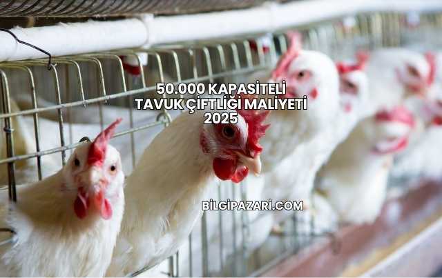 50.000 Kapasiteli Tavuk Çiftliği Maliyeti 2025