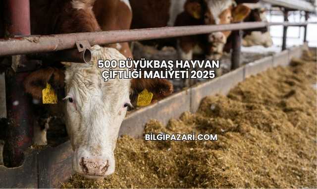 500 Büyükbaş Hayvan Çiftliği Maliyeti 2025
