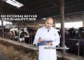 500 Büyükbaş Hayvan Çiftliği Maliyeti 2025