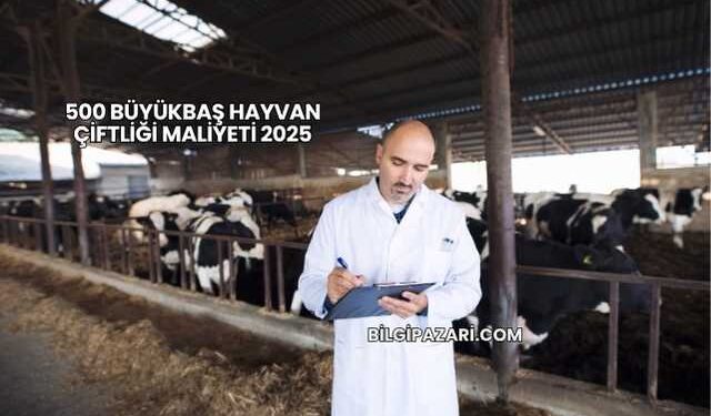 500 Büyükbaş Hayvan Çiftliği Maliyeti 2025