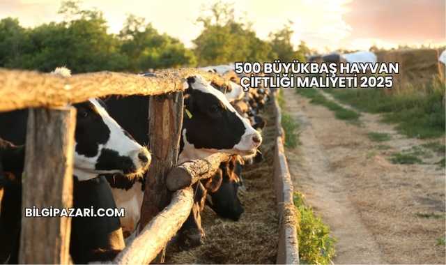 500 Büyükbaş Hayvan Çiftliği Maliyeti 2025
