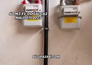 60 m2 Ev Doğalgaz Maliyeti 2025
