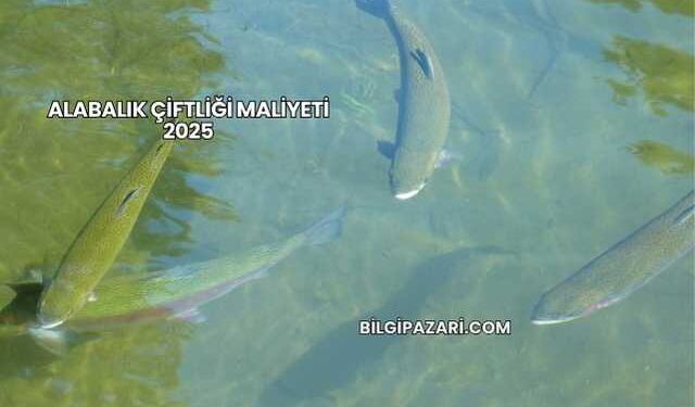 Alabalık Çiftliği Maliyeti 2025