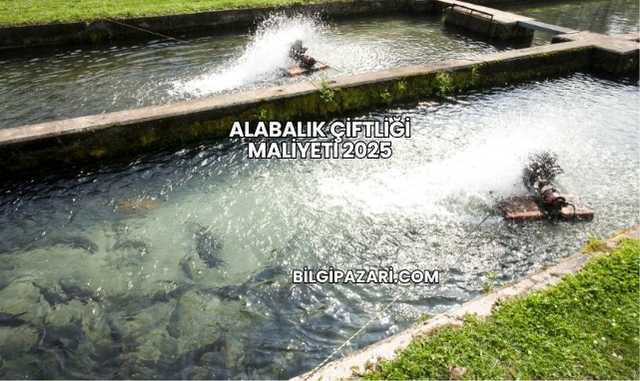 Alabalık Çiftliği Maliyeti 2025