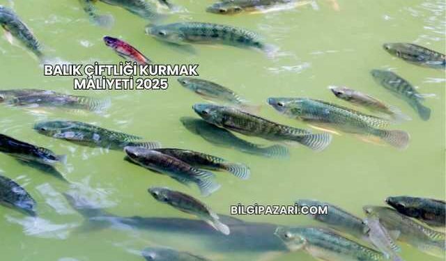 Balık Çiftliği Kurmak Maliyeti 2025