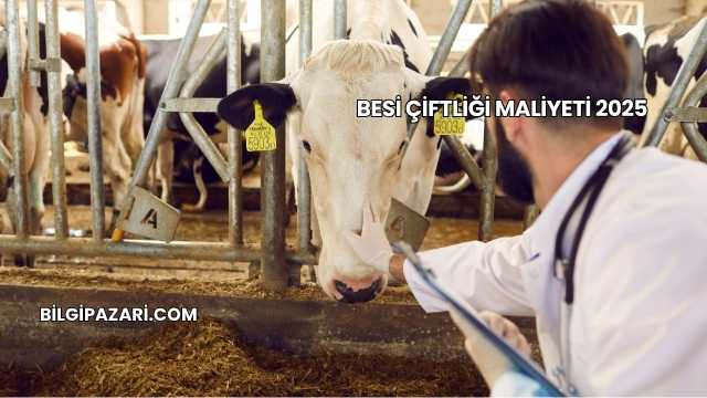 Besi Çiftliği Maliyeti 2025