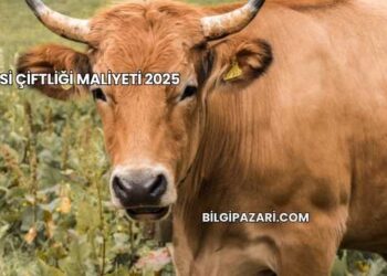 Besi Çiftliği Maliyeti 2025
