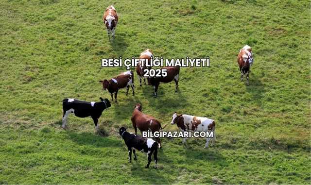 Besi Çiftliği Maliyeti 2025