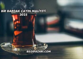 Bir Bardak Çayın Maliyeti 2025