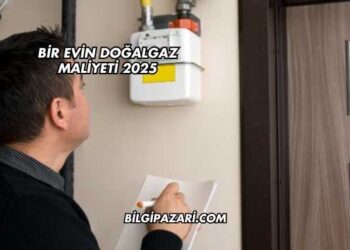 Bir Evin Doğalgaz Maliyeti 2025