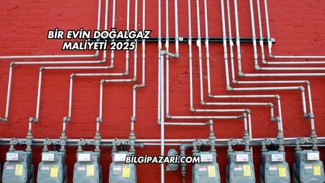 Bir Evin Doğalgaz Maliyeti 2025
